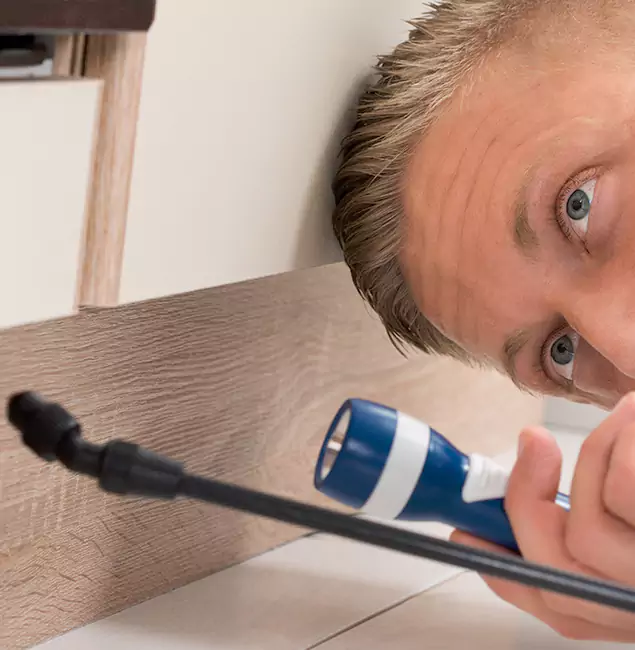Why Choose Belleville Pest Control Pro for Rodent Exterminator in Belleville, NJ?