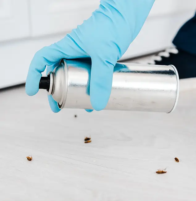 Why Choose Belleville Pest Control Pro for Safe Bed Bug Treatment in Belleville, NJ?