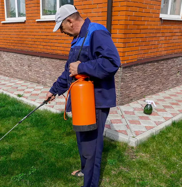 Why Choose Belleville Pest Control Pro for Soil Treatment in Belleville, NJ?