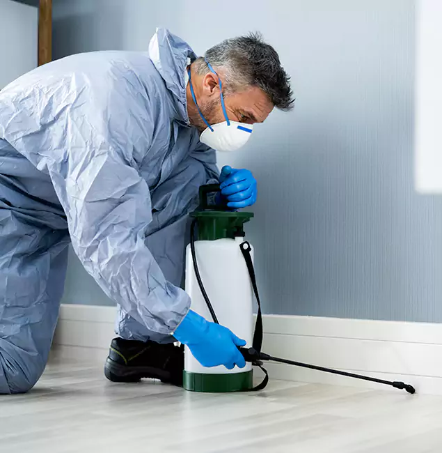 Why Choose Belleville Pest Control Pro for Subterranean Termites Treatment in Belleville, NJ?
