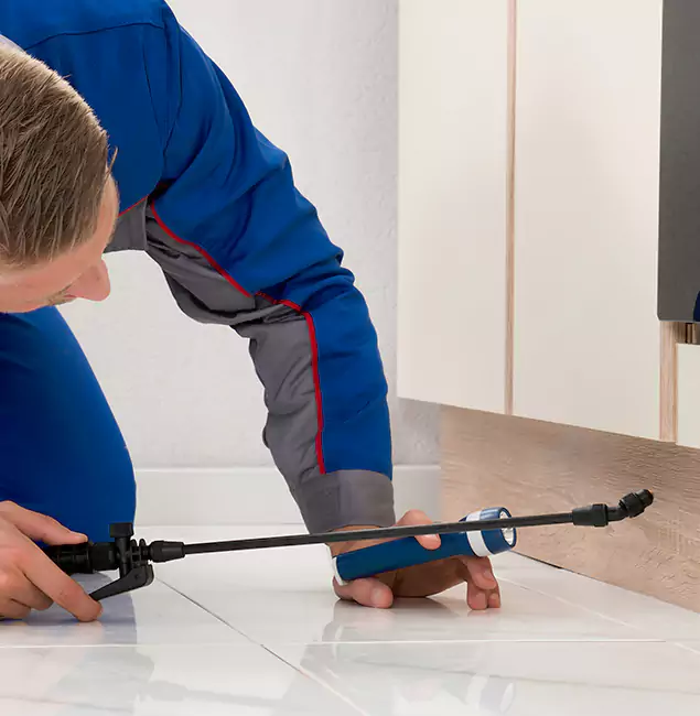 Why Belleville Residents Choose Belleville Pest Control Pro to Get Rid of Sugar Ants?