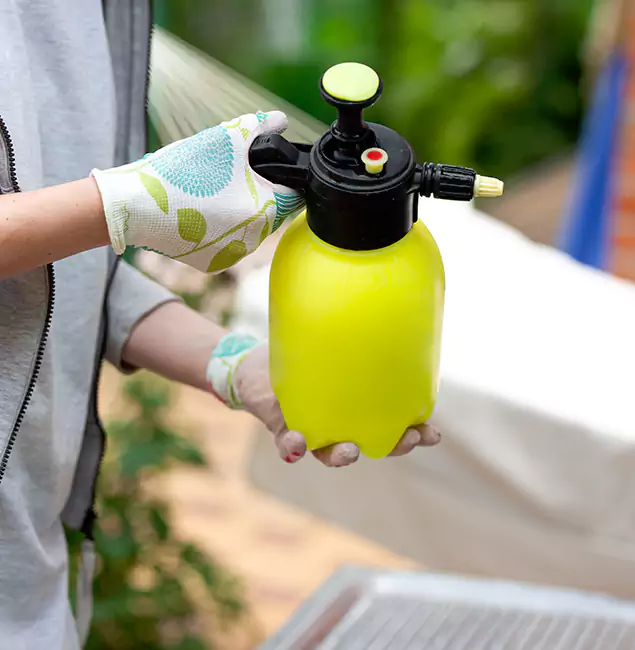 Why Choose Us: Belleville Pest Control Pro Termite Spraying Experts in Belleville, NJ?