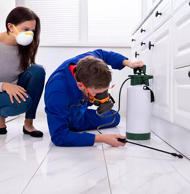 Why Choose Wood Termite Treatment by Belleville Pest Control Pro in Belleville, NJ?