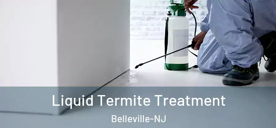 Liquid Termite Treatment Belleville-NJ