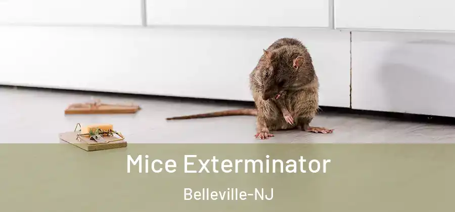 Mice Exterminator Belleville-NJ