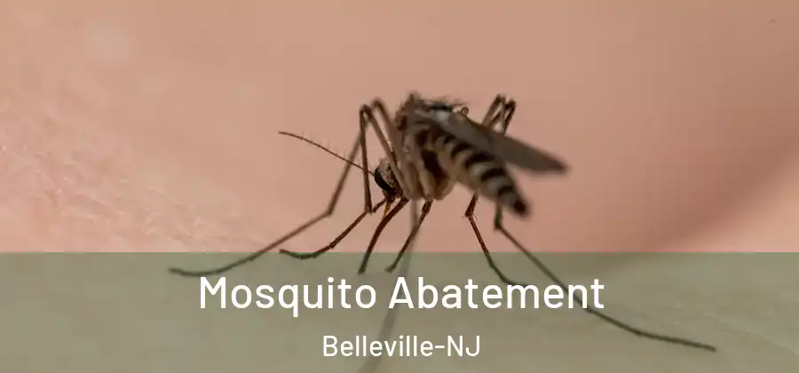 Mosquito Abatement Belleville-NJ