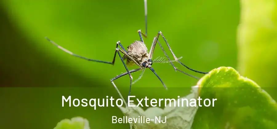 Mosquito Exterminator Belleville-NJ