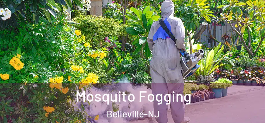 Mosquito Fogging Belleville-NJ