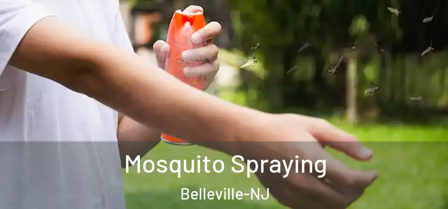 Mosquito Spraying Belleville-NJ