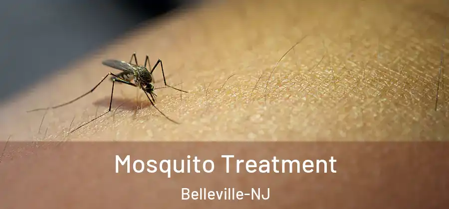 Mosquito Treatment Belleville-NJ
