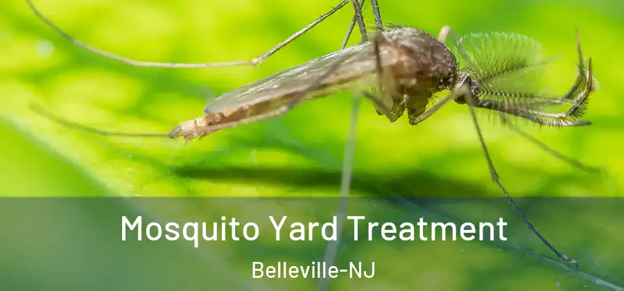 Mosquito Yard Treatment Belleville-NJ