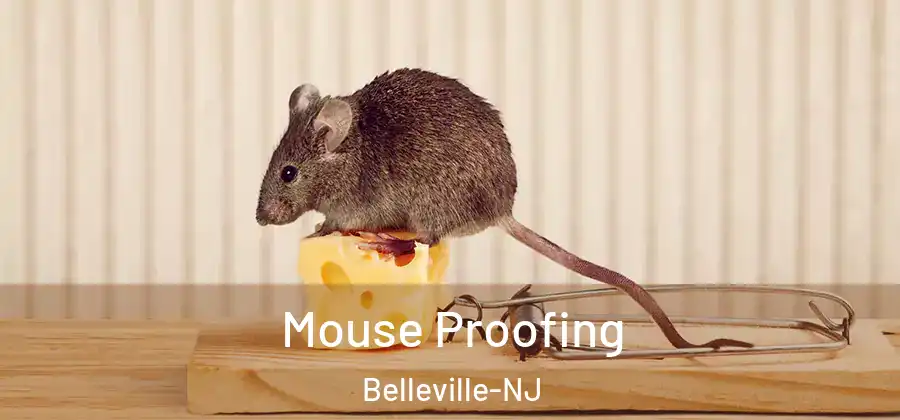 Mouse Proofing Belleville-NJ