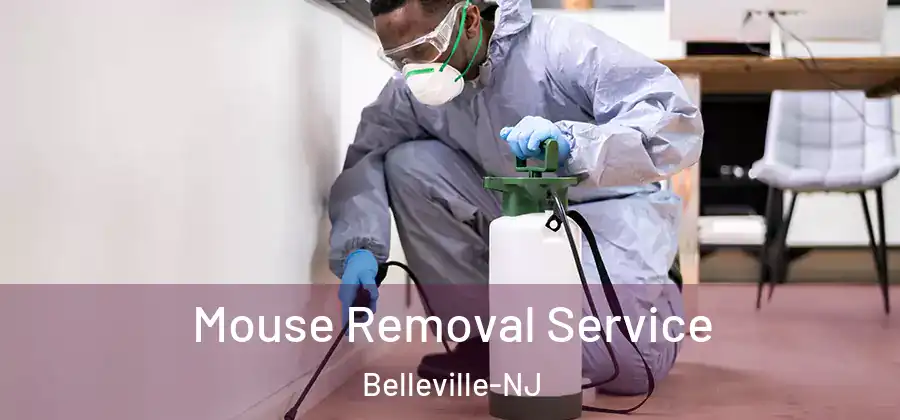 Mouse Removal Service Belleville-NJ