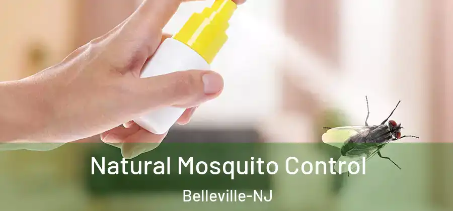 Natural Mosquito Control Belleville-NJ