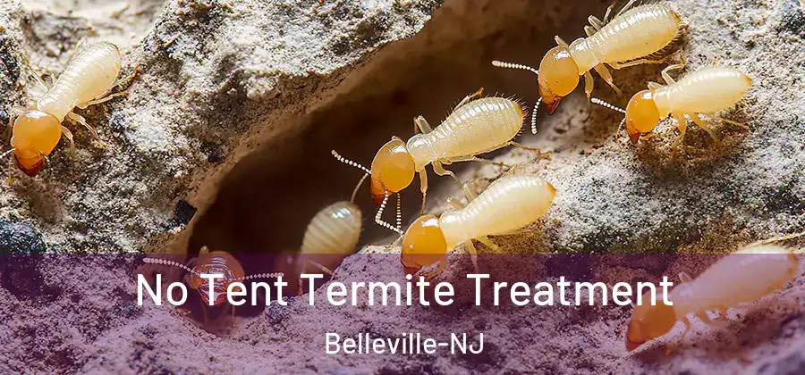 No Tent Termite Treatment Belleville-NJ