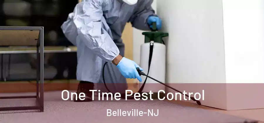 One Time Pest Control Belleville-NJ