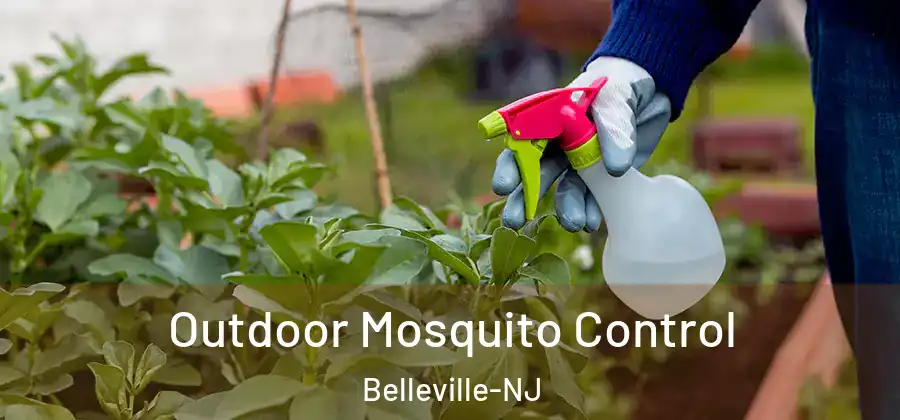 Outdoor Mosquito Control Belleville-NJ