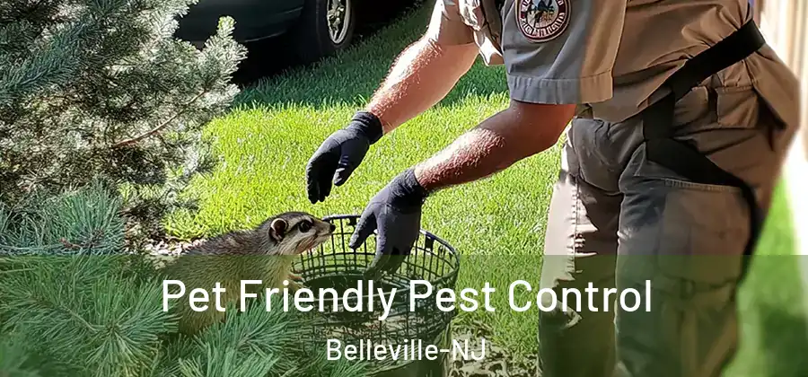 Pet Friendly Pest Control Belleville-NJ