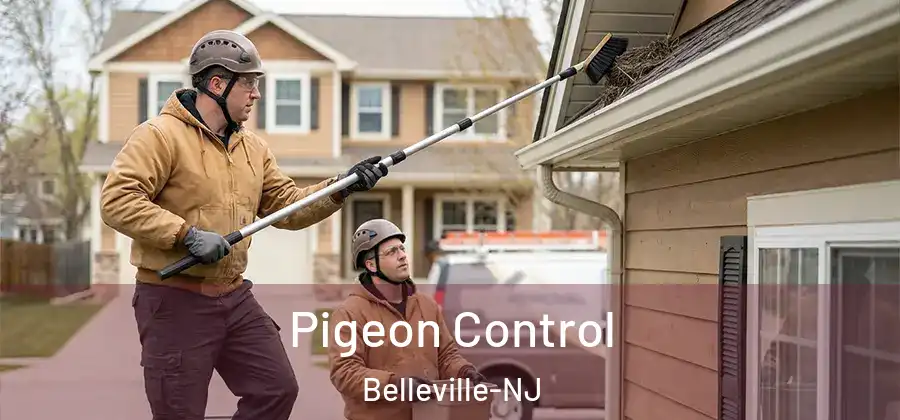 Pigeon Control Belleville-NJ