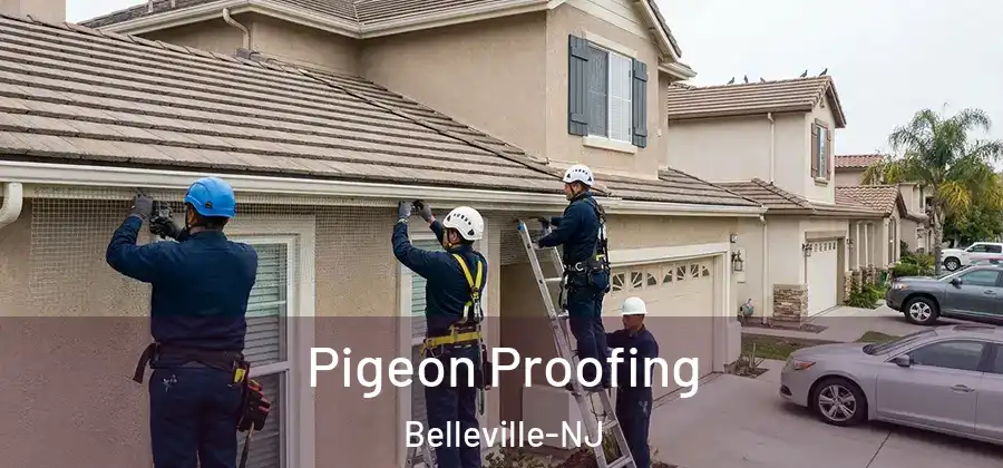 Pigeon Proofing Belleville-NJ
