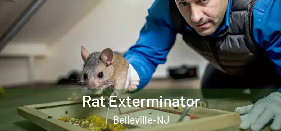 Rat Exterminator Belleville-NJ