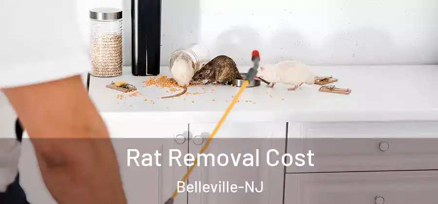 Rat Removal Cost Belleville-NJ