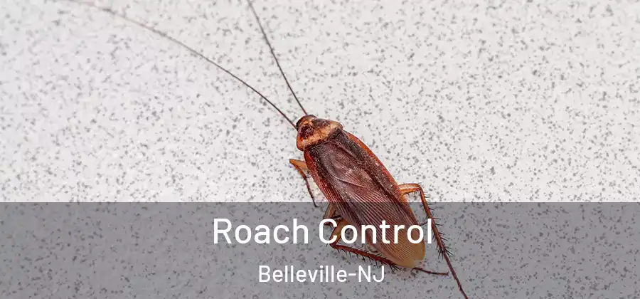 Roach Control Belleville-NJ
