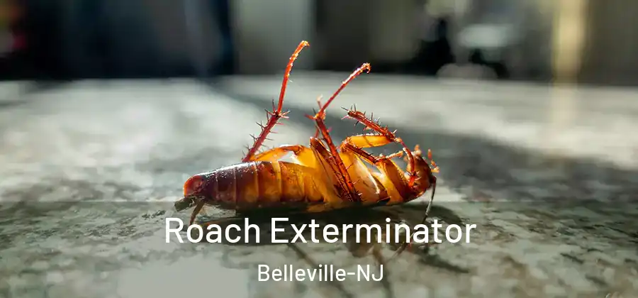 Roach Exterminator Belleville-NJ