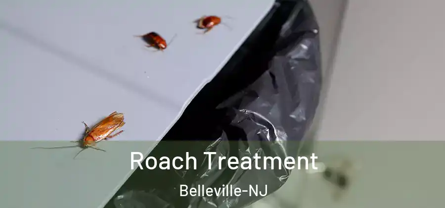 Roach Treatment Belleville-NJ
