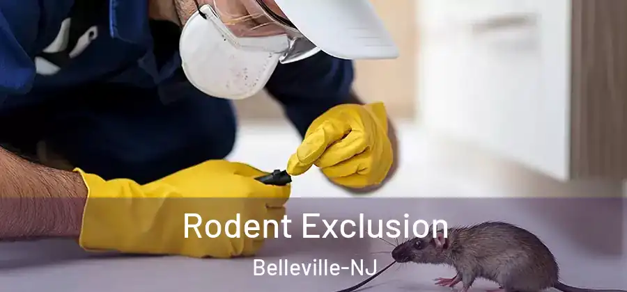 Rodent Exclusion Belleville-NJ