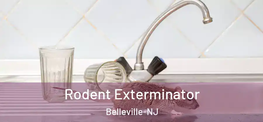 Rodent Exterminator Belleville-NJ