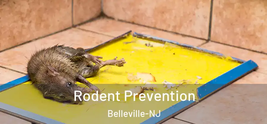 Rodent Prevention Belleville-NJ