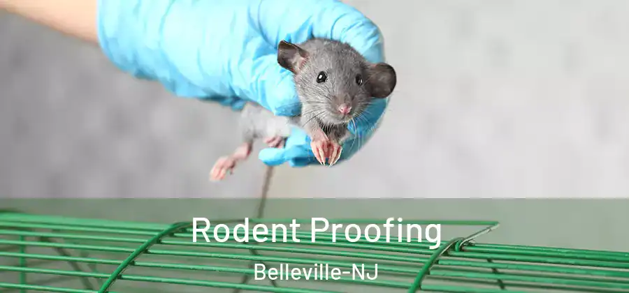 Rodent Proofing Belleville-NJ