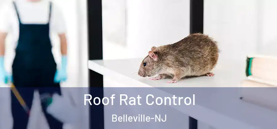 Roof Rat Control Belleville-NJ