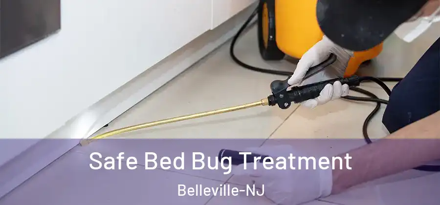 Safe Bed Bug Treatment Belleville-NJ