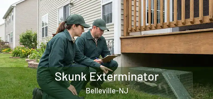 Skunk Exterminator Belleville-NJ
