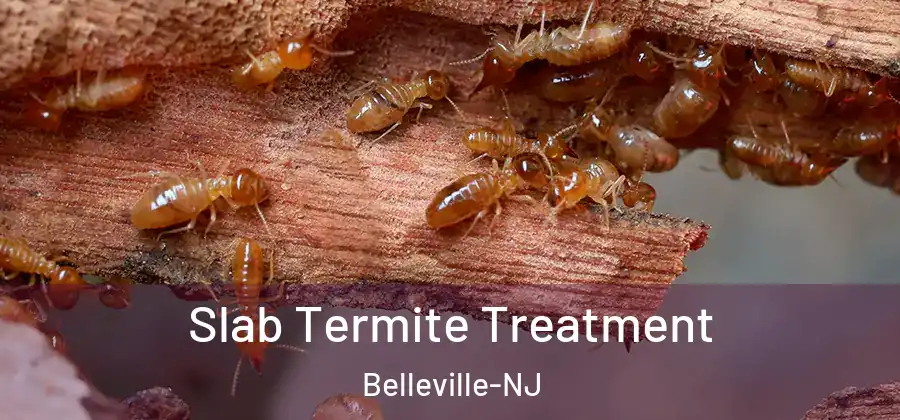 Slab Termite Treatment Belleville-NJ