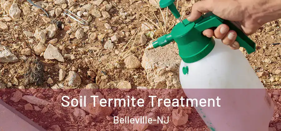 Soil Termite Treatment Belleville-NJ