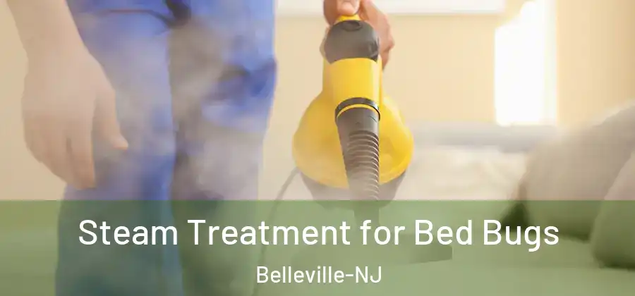 Steam Treatment for Bed Bugs Belleville-NJ