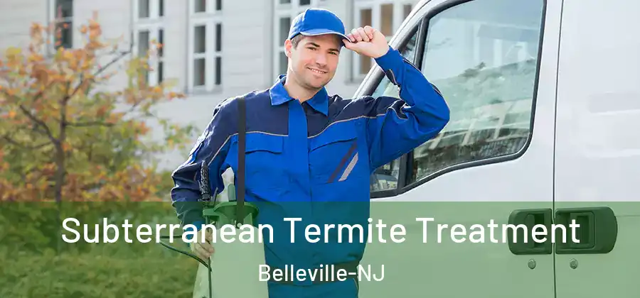 Subterranean Termite Treatment Belleville-NJ