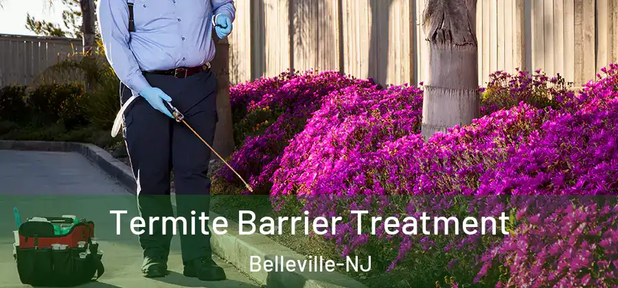 Termite Barrier Treatment Belleville-NJ