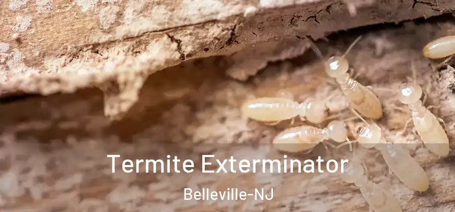 Termite Exterminator Belleville-NJ