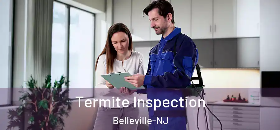 Termite Inspection Belleville-NJ