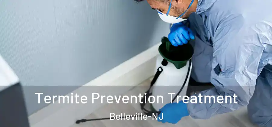 Termite Prevention Treatment Belleville-NJ