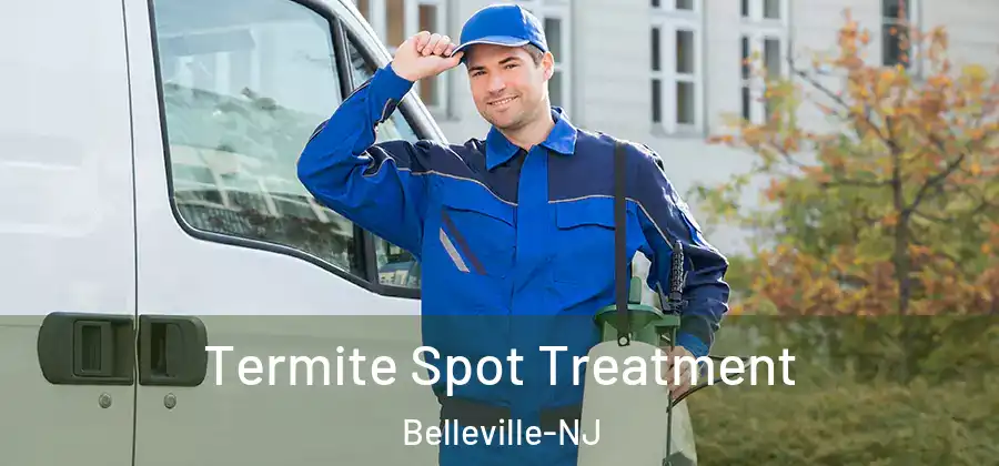 Termite Spot Treatment Belleville-NJ