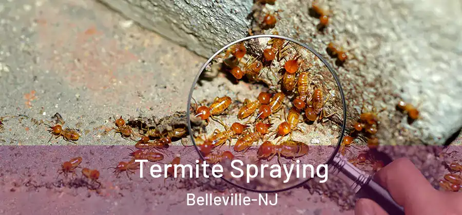  Termite Spraying Belleville-NJ