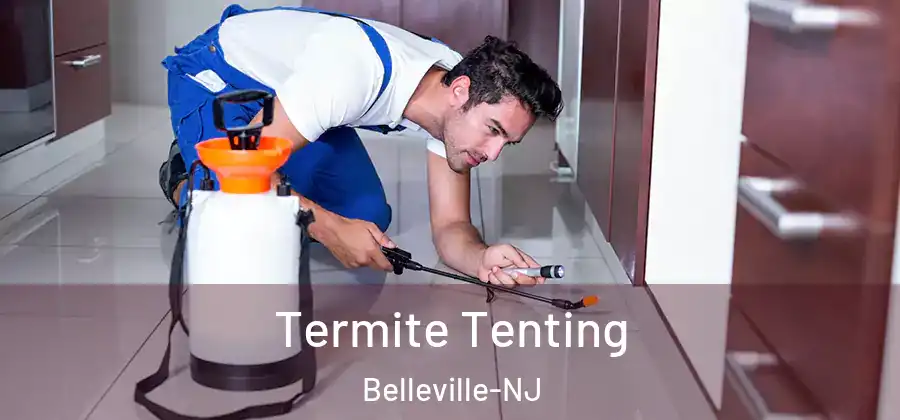 Termite Tenting Belleville-NJ