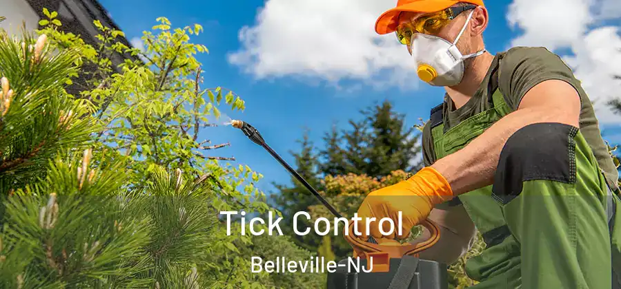 Tick Control Belleville-NJ
