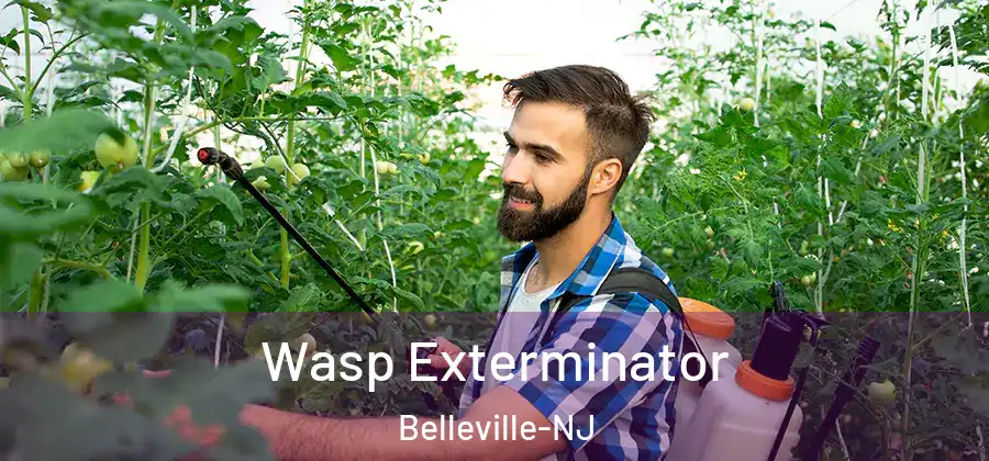 Wasp Exterminator Belleville-NJ
