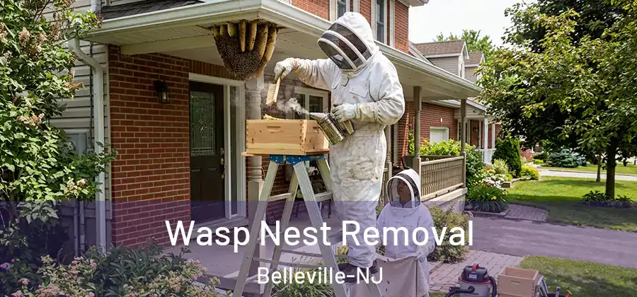 Wasp Nest Removal Belleville-NJ